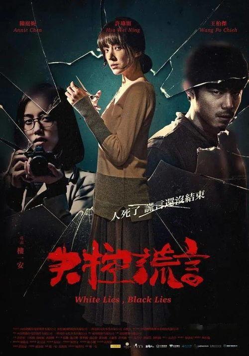 失控谎言在线观看,揭秘网络迷雾中的真相追踪之旅